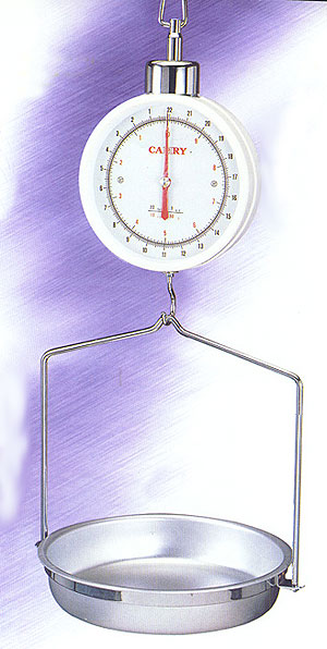 Two Dials Hanging Scale